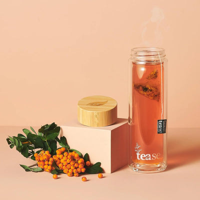 Tease Tea Glass & Bamboo Tea Tumbler 3 in 1 Versatile Infuser to Brew Tea, Coffee, Fruit Water Infused Drinks Mocktails, Includes Neoprene Sleeve Handle, Bamboo Lid, Airtight Leak-Proof 450ml (Cinnamon)