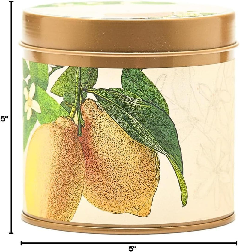 Rosy Rings Signature Tin Candle - Aromatherapy Fragrance Elegant Home Decor Gift Long Lasting 50 Hour Burn Botanical Floral Notes of Grapefruit, Lily, Lychee, Peach, Rose (Lemon Blossom & Lychee)
