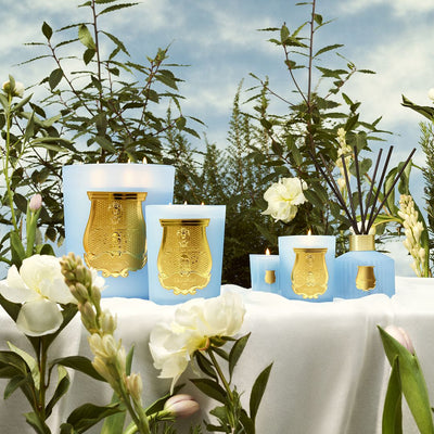 Trudon Versailles 800g Candle Garden in Spring – A Refined Floral Tribute to French Royalty
