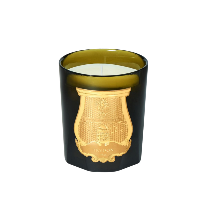 Trudon Spiritus Sancti Candle Incense Classique 270g