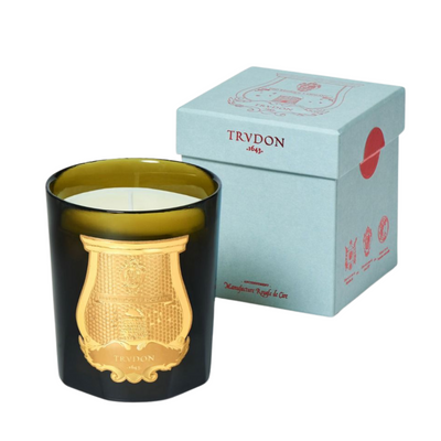 Trudon Ernesto Candle Leather and Tobacco Classique 270g