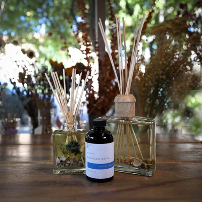 Rosy Rings Botanical Reed Diffuser Coastal Vanilla 13oz - Lasts 6-12 Months, Aromatherapy Diffuser, Reed Diffuser Sticks, Diffuser with Botanicals Perfect for Home Decor!