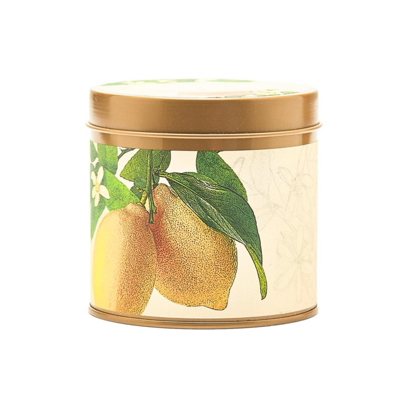 Rosy Rings Signature Tin Candle - Aromatherapy Fragrance Elegant Home Decor Gift Long Lasting 50 Hour Burn Botanical Floral Notes of Grapefruit, Lily, Lychee, Peach, Rose (Lemon Blossom & Lychee)