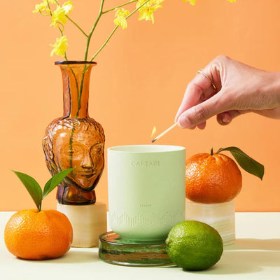 Scented Candle | Aromatherapy Luxury Home Fragrance Decor Gifts Notes of Bergamot, Citrusy Mandarin, Tea Accord | Made with Natural Coconut & Soy Wax Blend | Long Lasting 60 Hour Burn (Elixir)