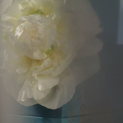 Trudon Versailles 800g Candle Garden in Spring – A Refined Floral Tribute to French Royalty