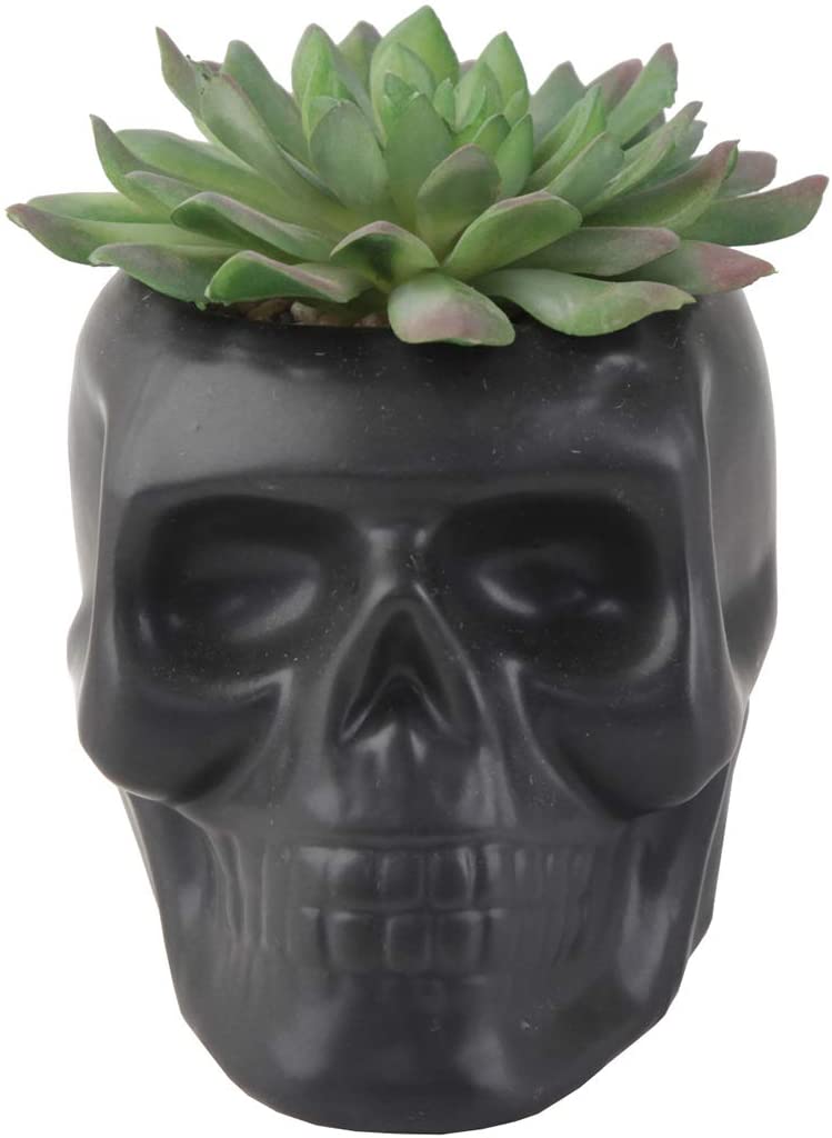 Flora Bunda 4.5 Inch Ceramic Sugar Skull Planter Pot for Succulents, Candies, Paper pins for Home Office Decorations , Matte Black (no Drainage Hole, no Mess)