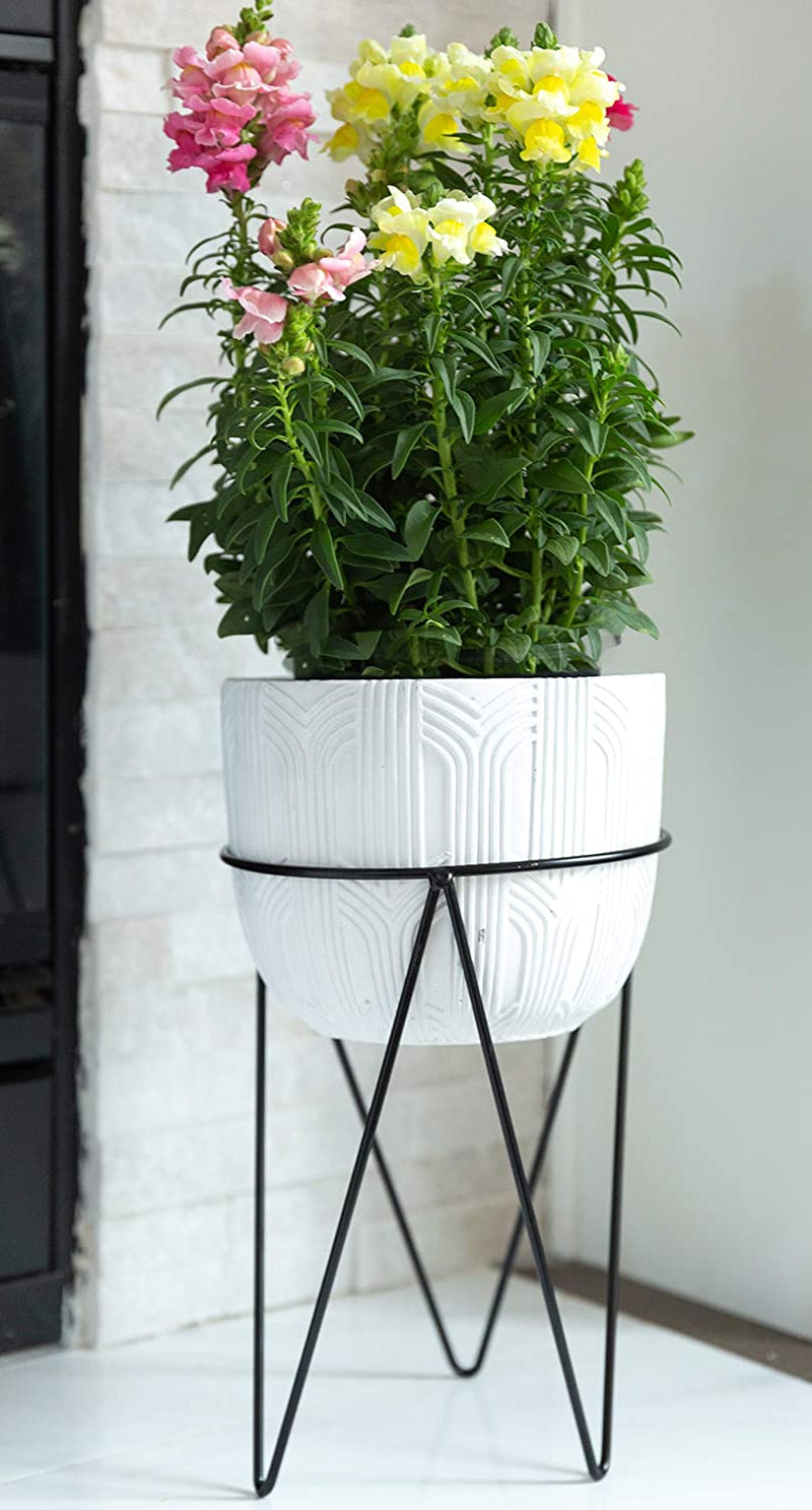 Flora Bunda Mid Century 12"H White Concrete Pattern Planter 8" Cement Pot on Black Metal Stand