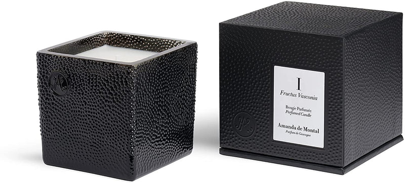 Amanda de Montal Fructus Vasconia Candle - Notes of Fig, Warm Grass, & Fig Milk - 7.76 OZ