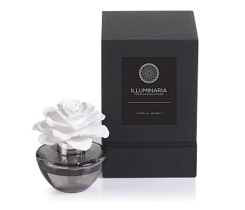 Zodax Illuminaria Porcelain Diffuser, Camellia Japonica Fragrance
