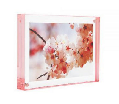 CANETTI ROSE COLOR EDGE MAGNET FRAME 2.5"x3.5"