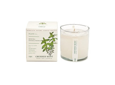 Kobo Candles Crushed Mint Candle