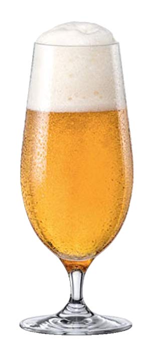 RONA City Stemmed All Purpose Water/Beer Pilsner Glass, 15 1/2 oz, Set of 6