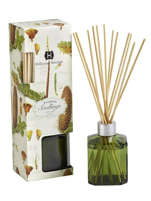 Hillhouse Naturals Reed Diffuser 5 Oz. - Evergreen Seedlings